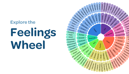 Feelings Wheel CTA